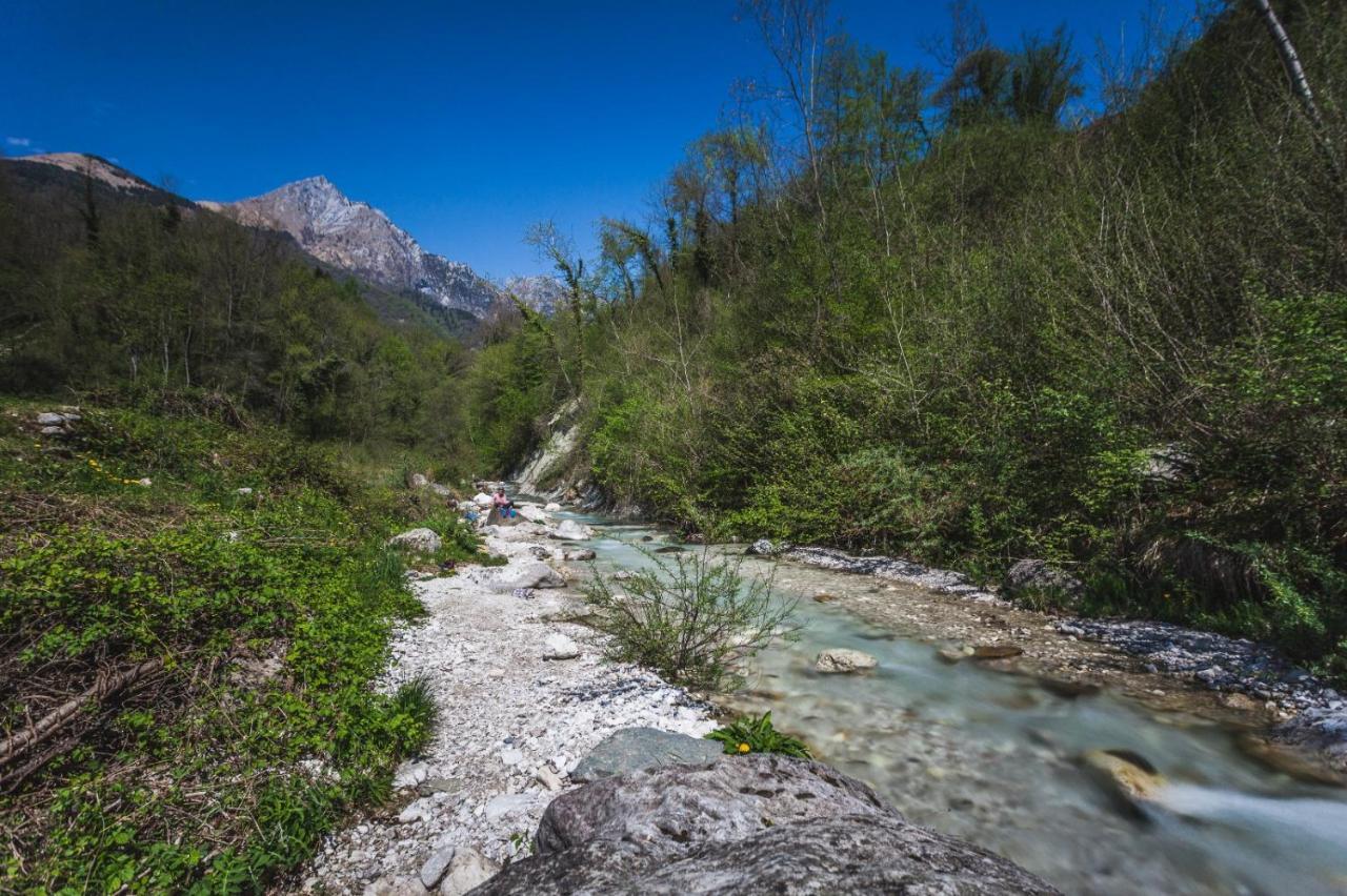 Ostello Altanon - Dolomiti Bellunesi Cesiomaggiore ภายนอก รูปภาพ